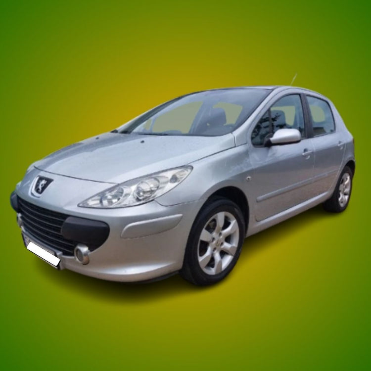 Accessoires tuning Peugeot 307